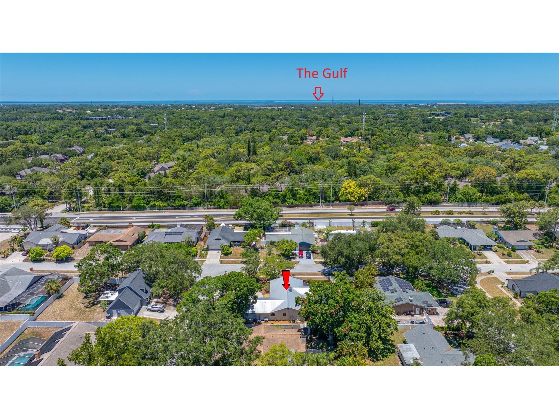 2409 Osprey Avenue Palm Harbor FL 34683 TB8521786 image57