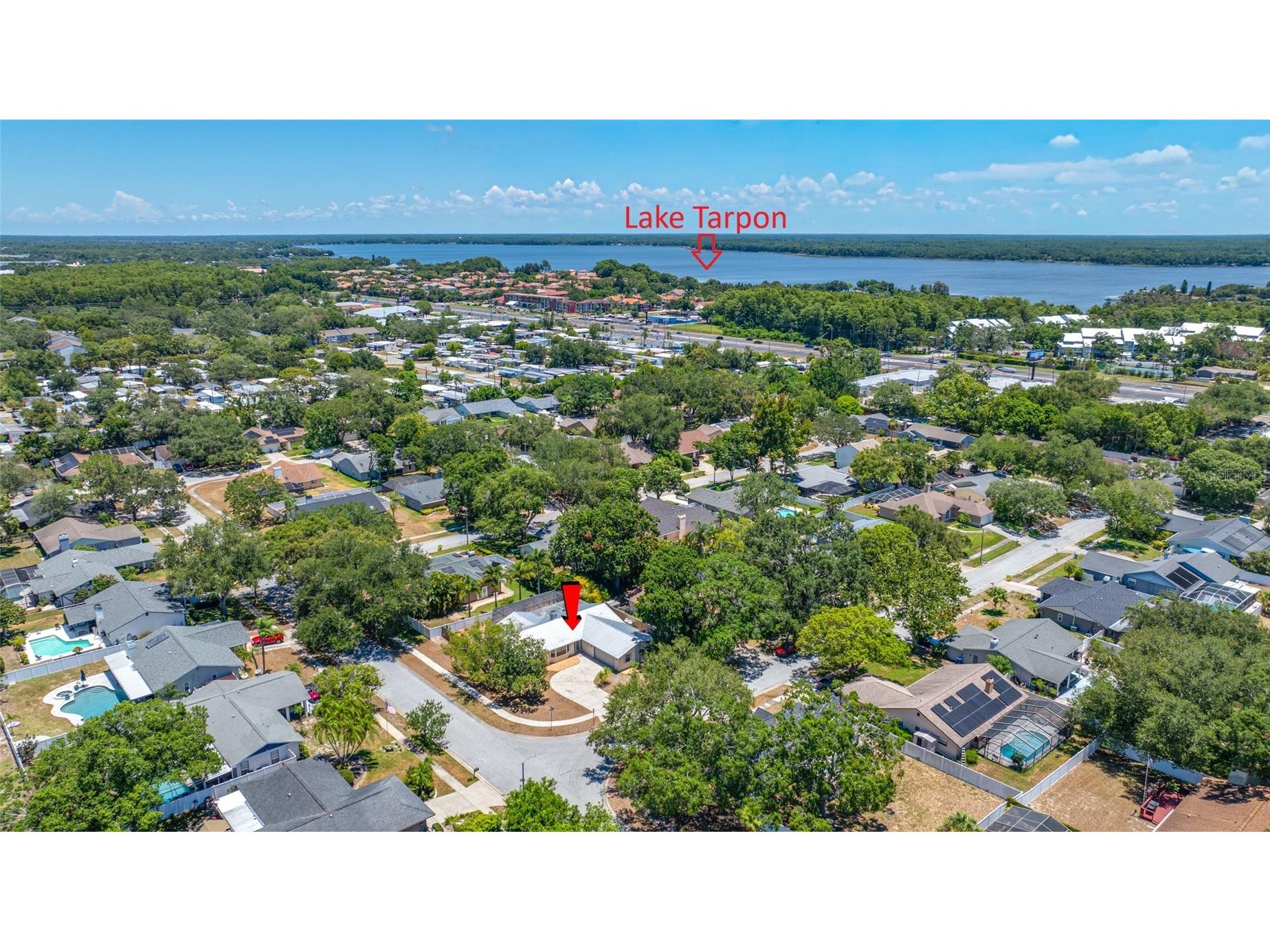2409 Osprey Avenue Palm Harbor FL 34683 TB8521786 image59