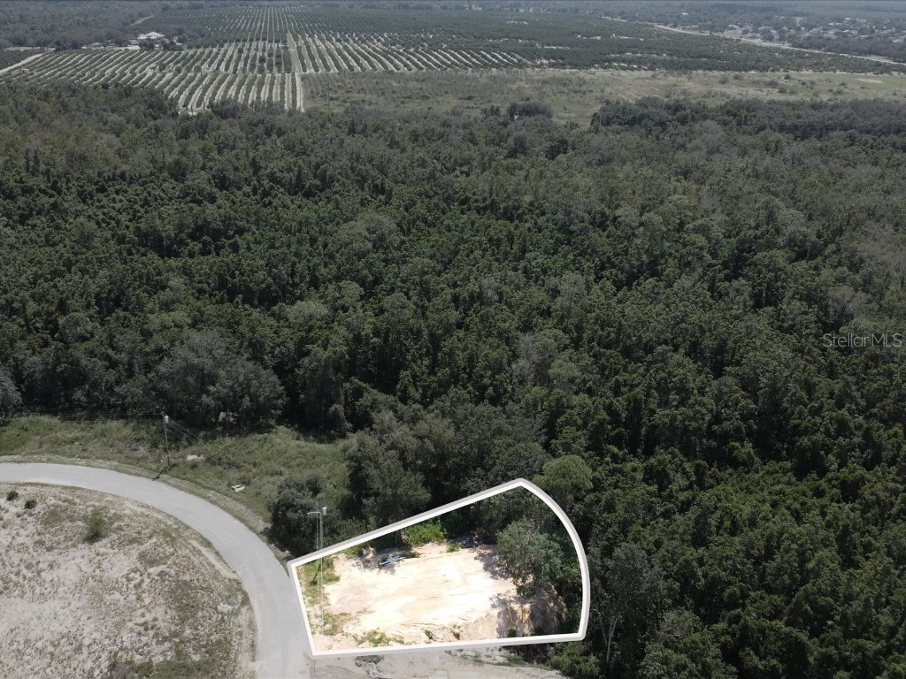 2409 Pecos Lane Kissimmee FL 34759 S5135548 image15