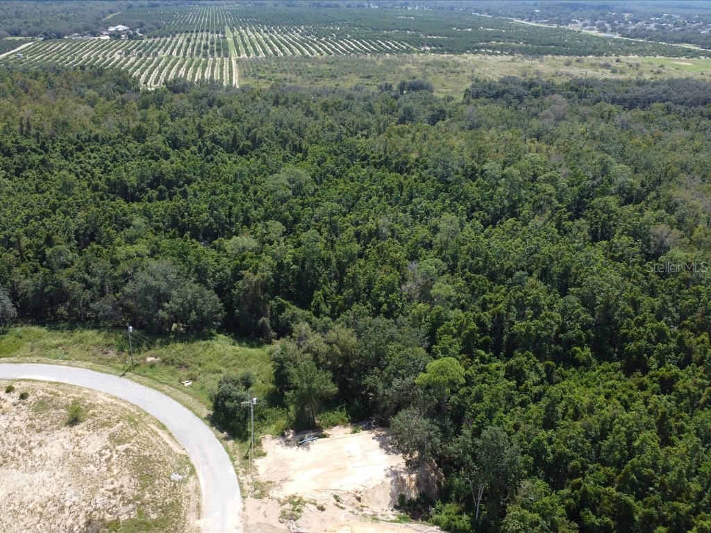 2409 Pecos Lane Kissimmee FL 34759 S5135548 image16