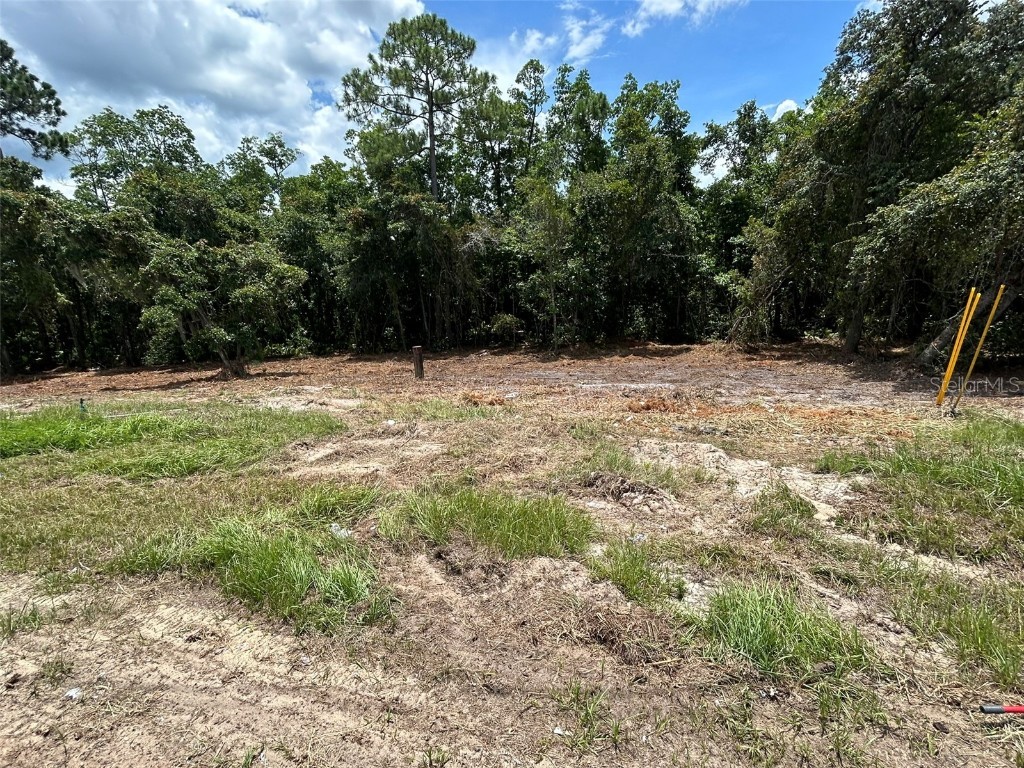 2409 Pecos Lane Poinciana FL 34759 O6239743 image1