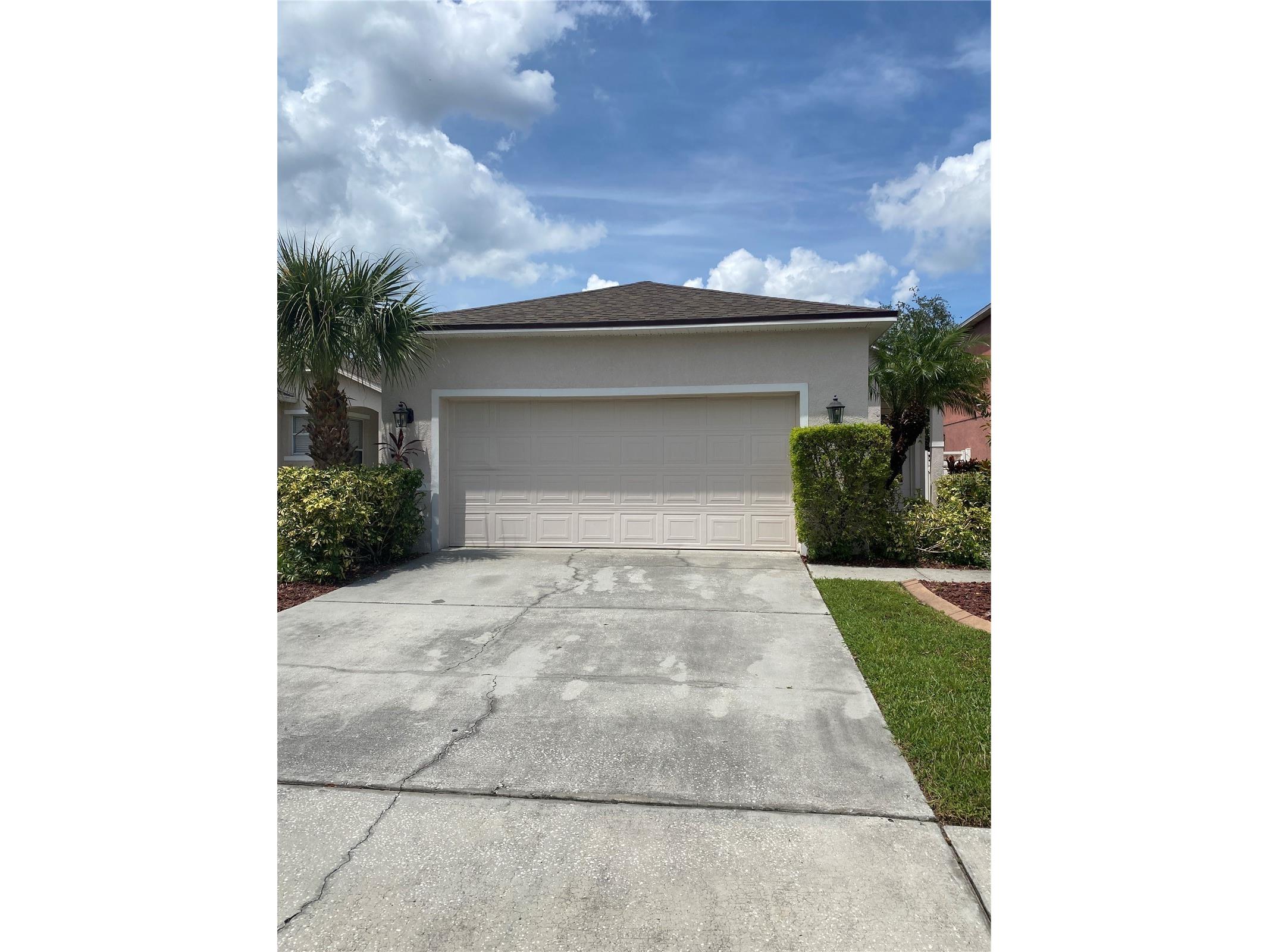 2409 Spring Hollow Loop Wesley Chapel FL 33544 TB8510043 image1