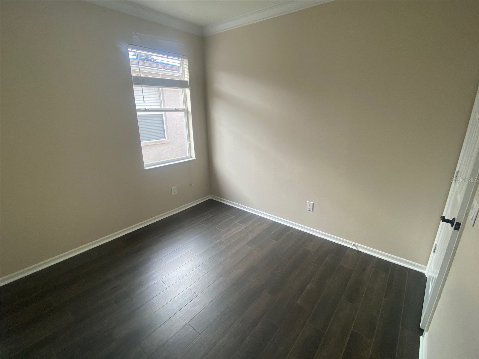 2409 Spring Hollow Loop Wesley Chapel FL 33544 TB8510043 image14
