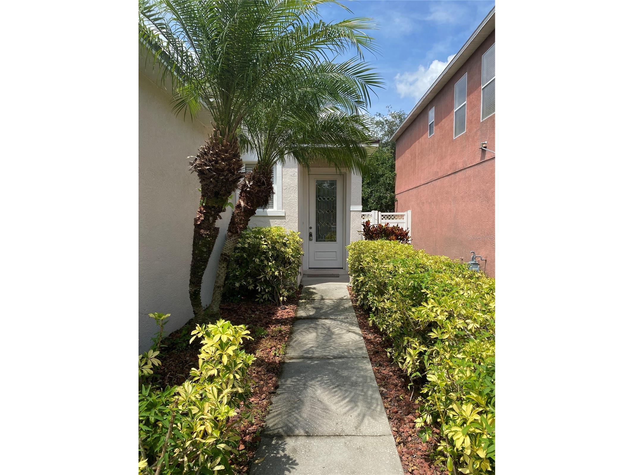 2409 Spring Hollow Loop Wesley Chapel FL 33544 TB8510043 image2