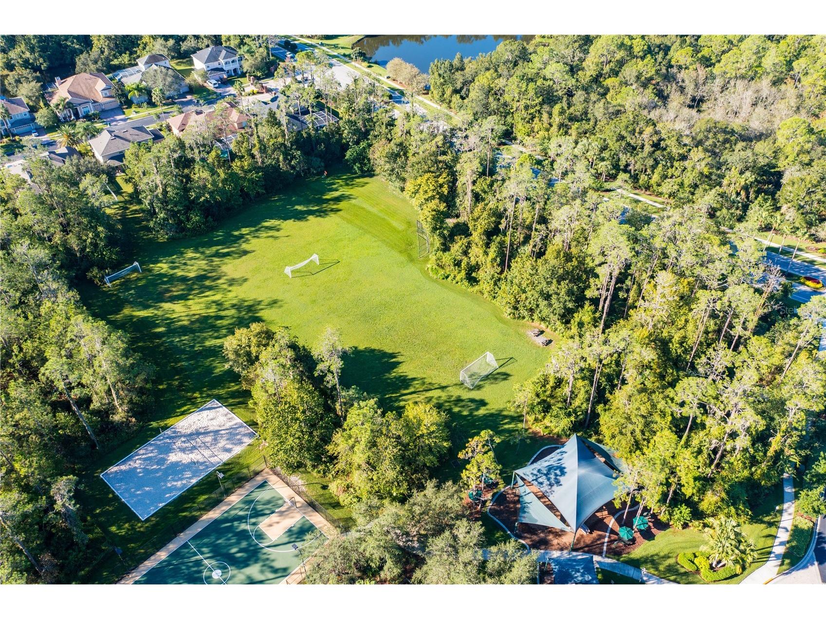 2409 Spring Hollow Loop Wesley Chapel FL 33544 TB8510043 image30