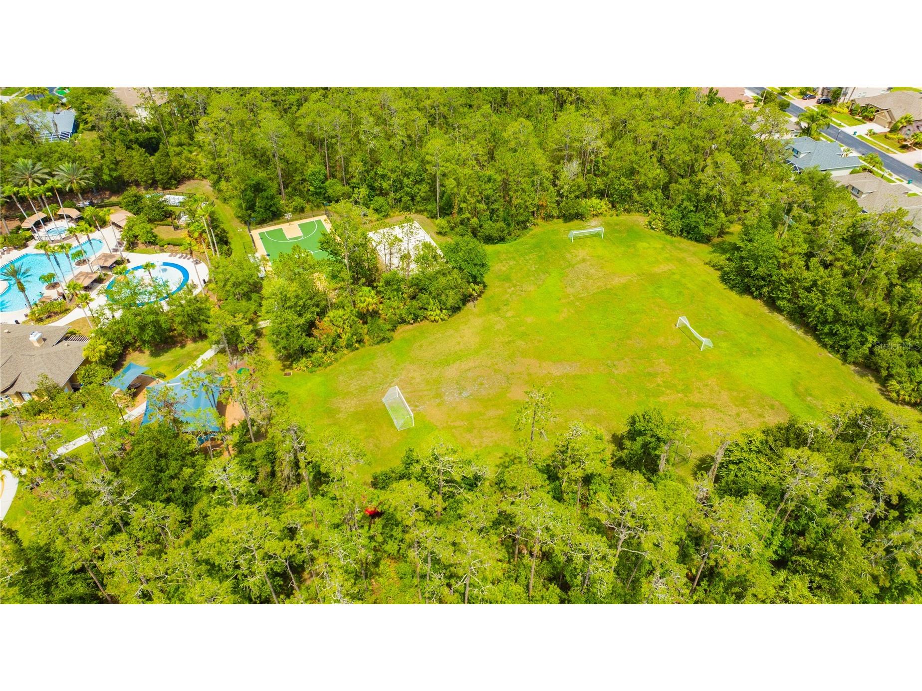 2409 Spring Hollow Loop Wesley Chapel FL 33544 TB8510043 image33