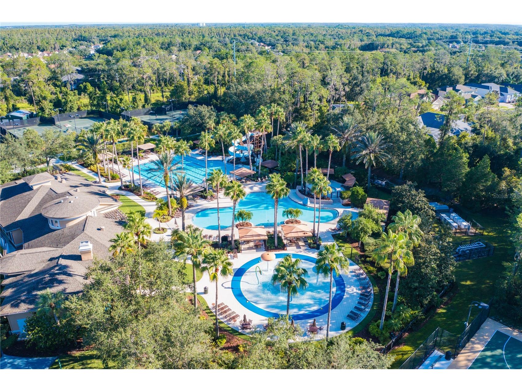 2409 Spring Hollow Loop Wesley Chapel FL 33544 TB8510043 image40