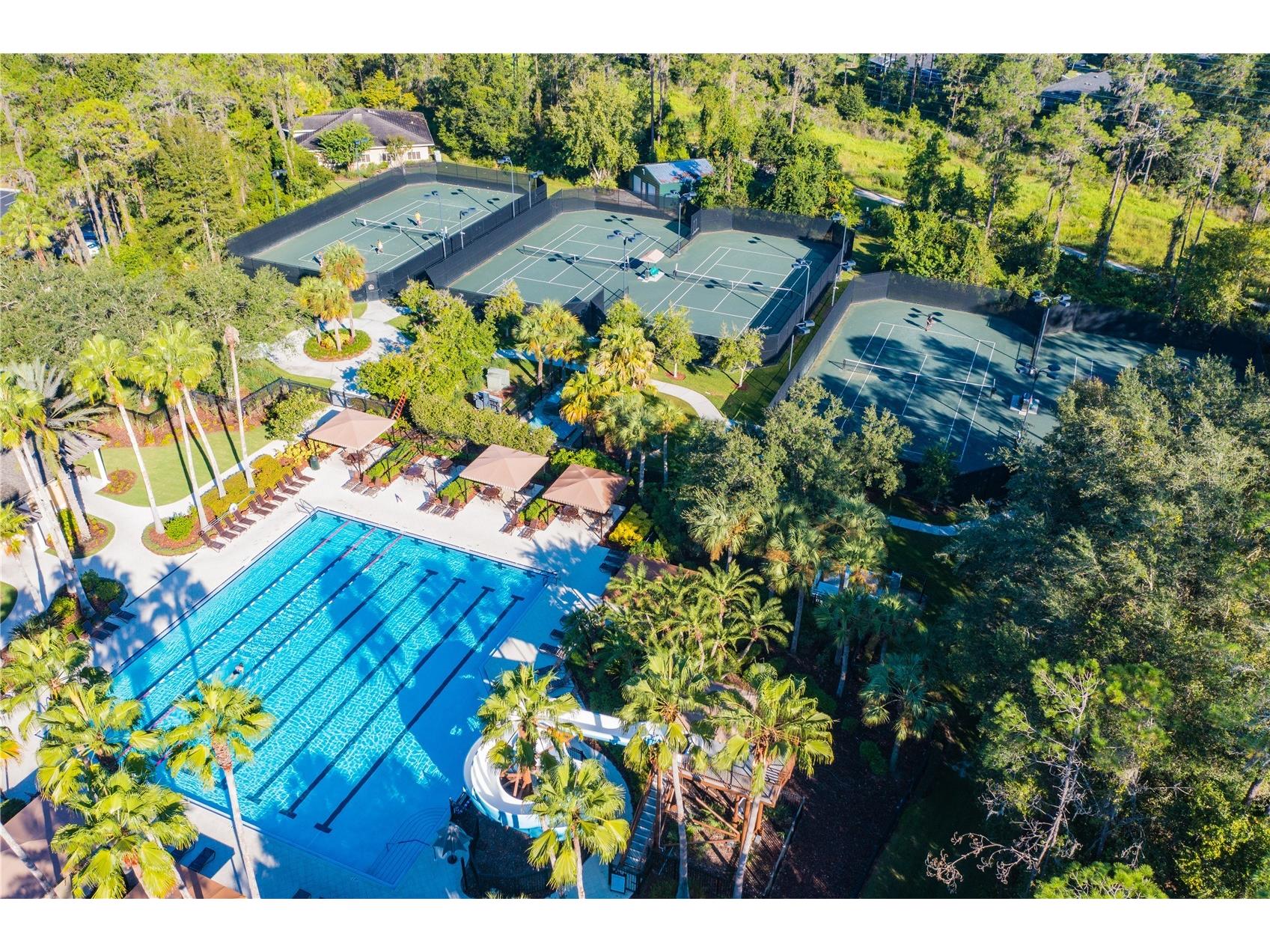 2409 Spring Hollow Loop Wesley Chapel FL 33544 TB8510043 image43