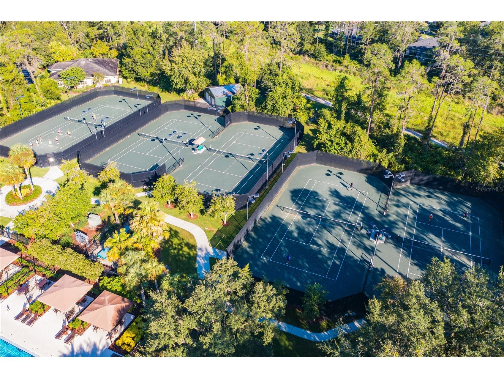 2409 Spring Hollow Loop Wesley Chapel FL 33544 TB8510043 image44