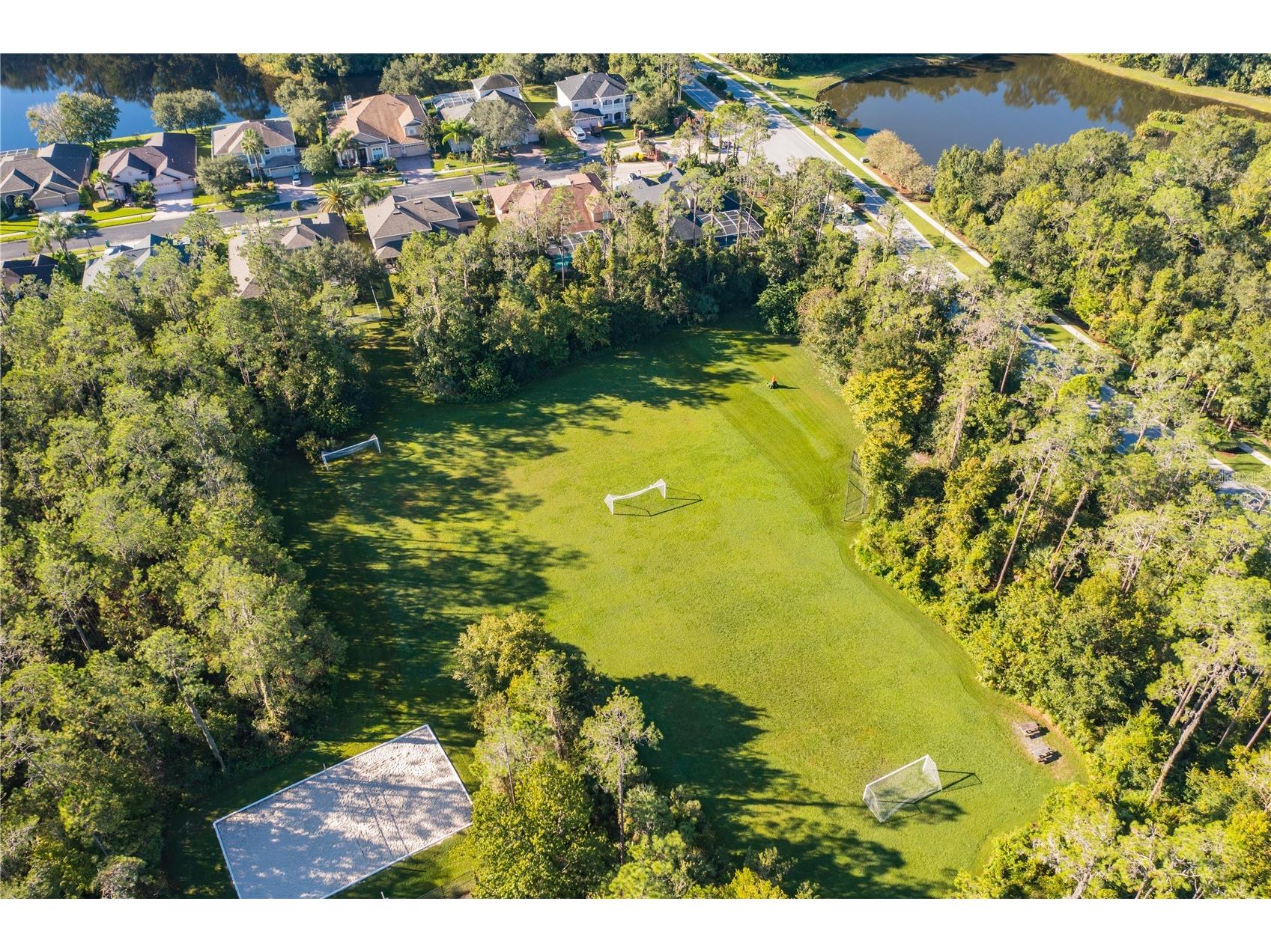 2409 Spring Hollow Loop Wesley Chapel FL 33544 TB8510043 image45
