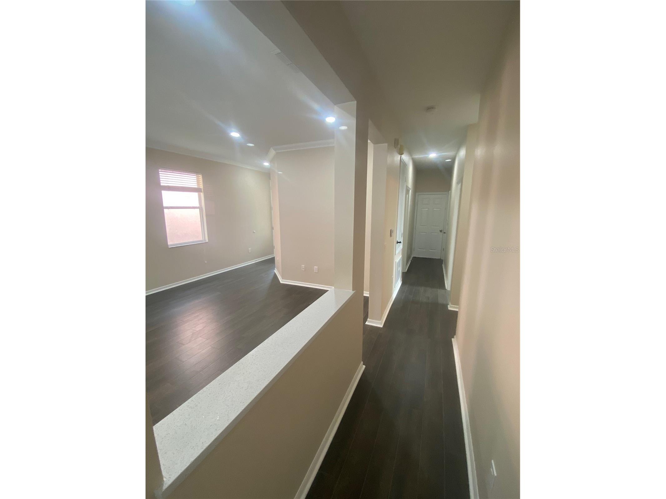 2409 Spring Hollow Loop Wesley Chapel FL 33544 TB8510043 image7
