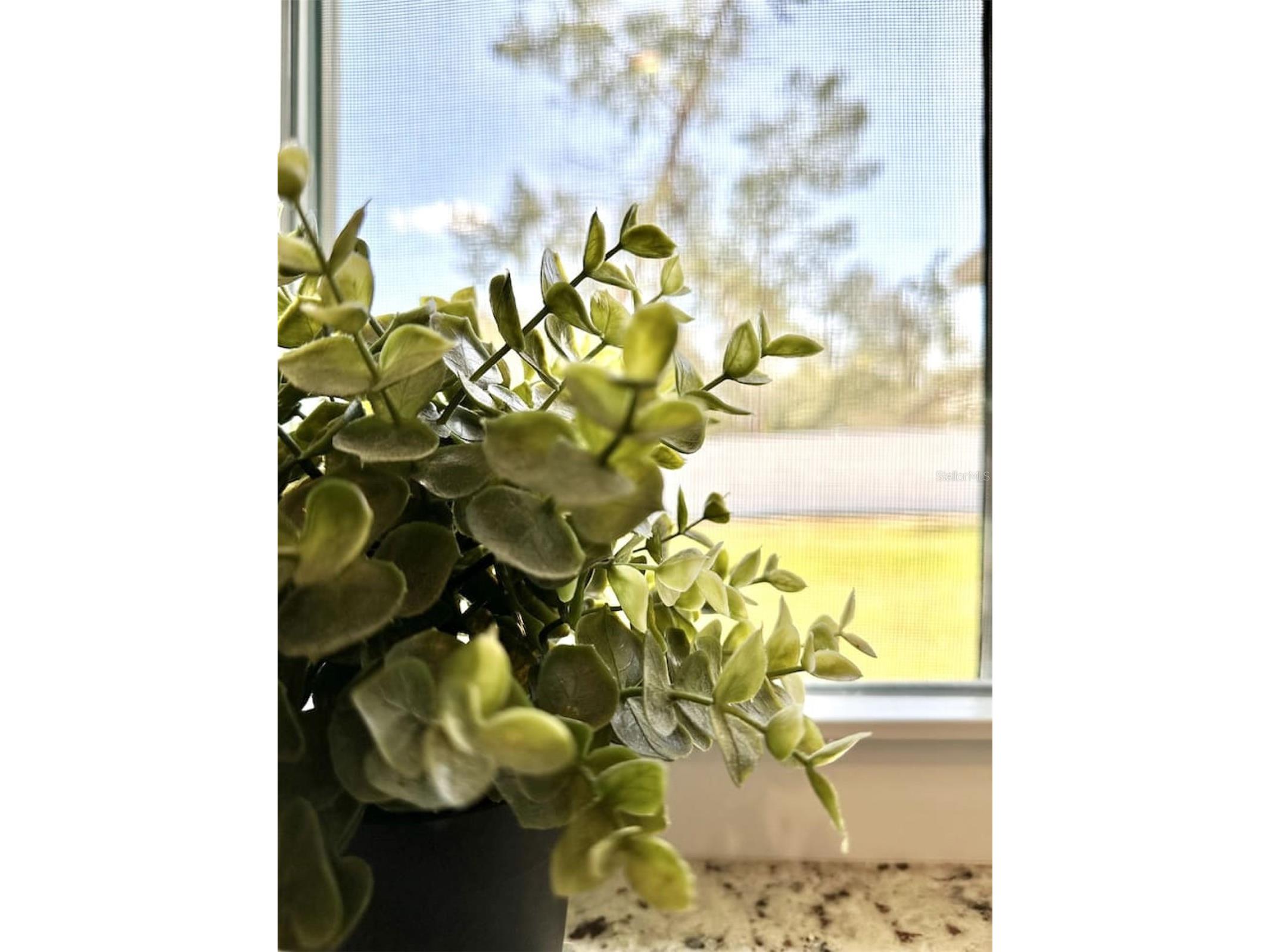 2409 SW 156th Loop Ocala FL 34473 OM718893 image33