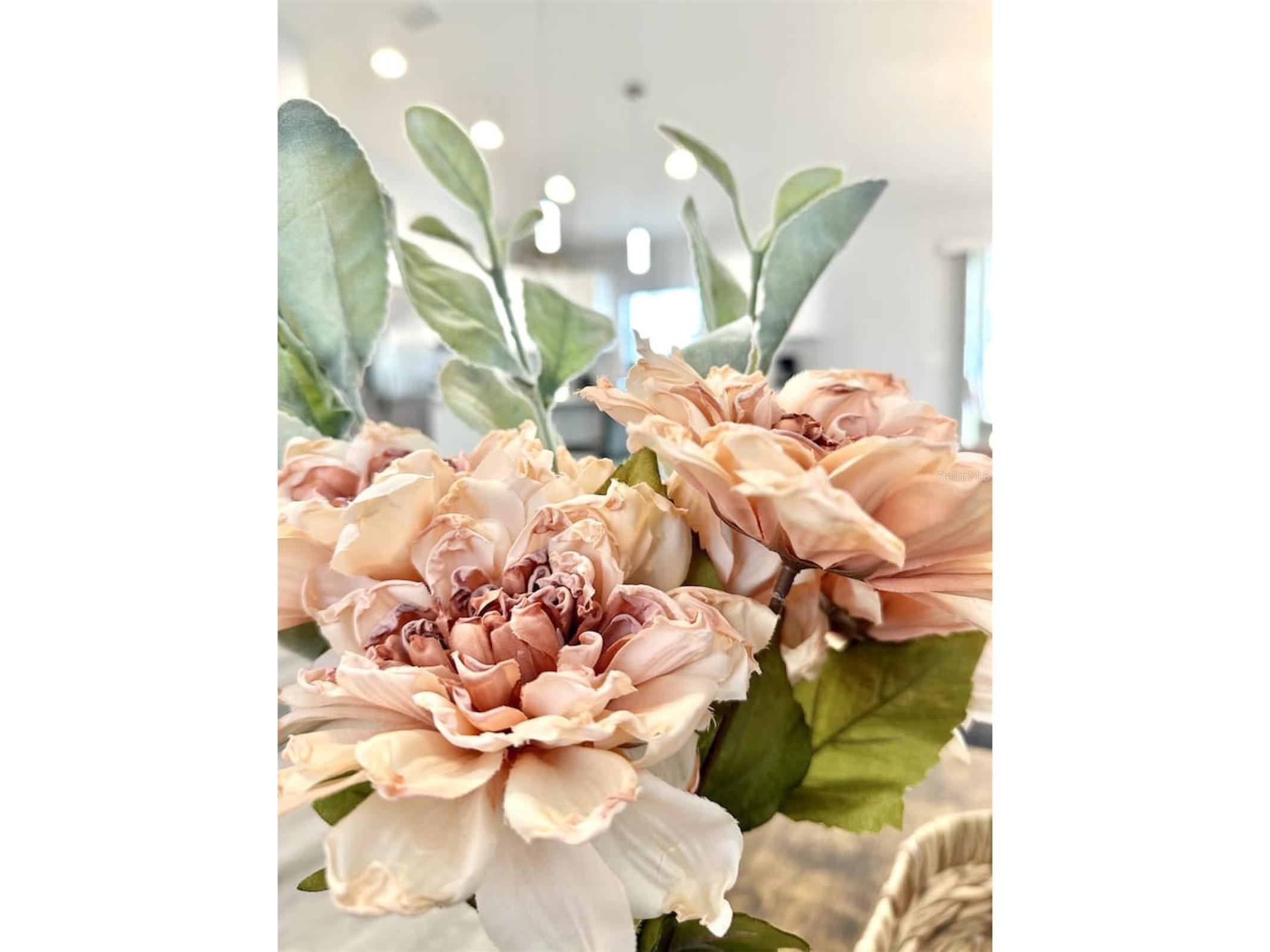 2409 SW 156th Loop Ocala FL 34473 OM718893 image46