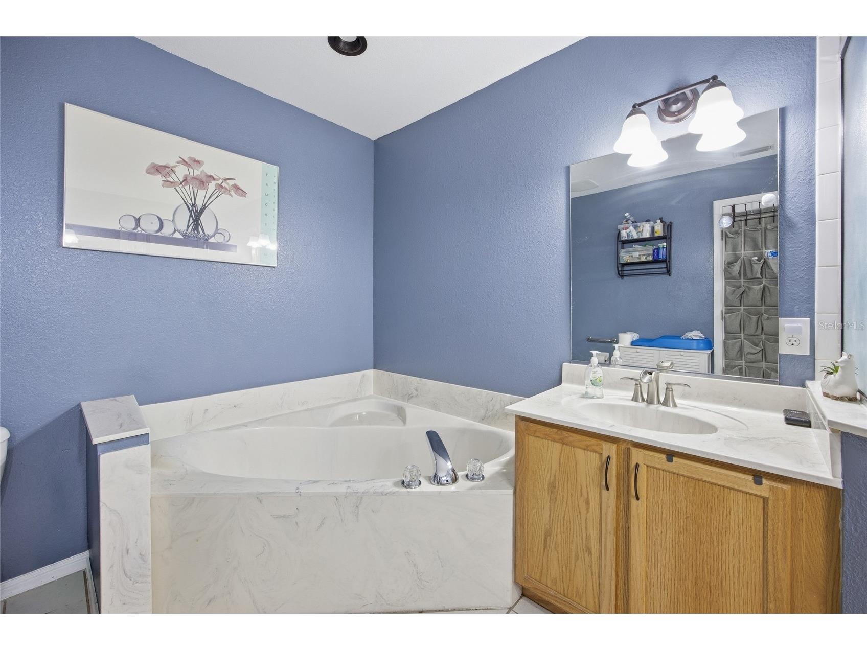 2409 SW 20th Terrace Ocala FL 34471 OM724569 image23
