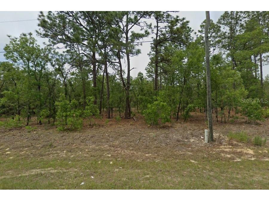 2409 W Newhope Lane Dunnellon FL 34434 O6339935 image1