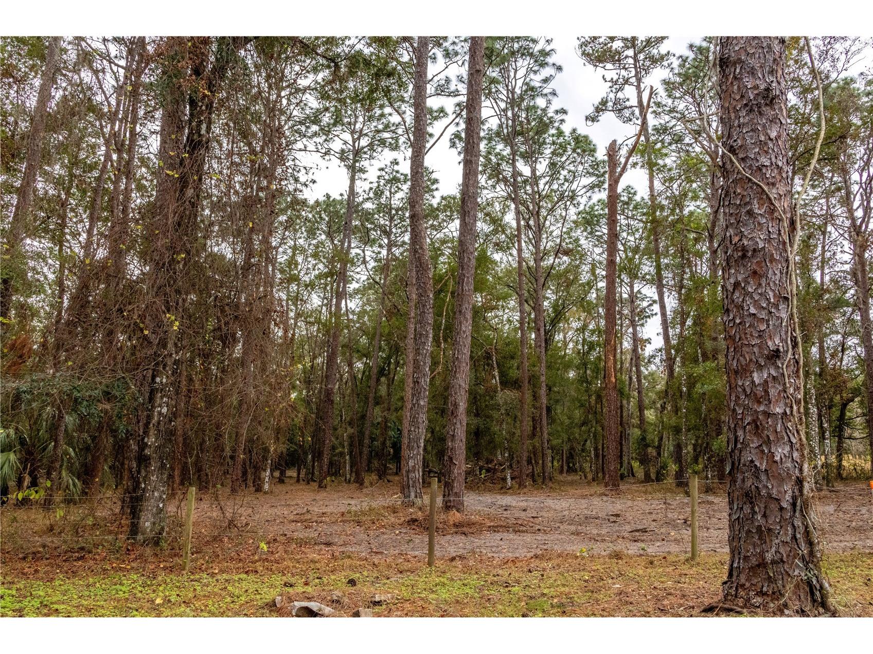 24091 Richbarn Road Brooksville FL 34601 W7885802 image13