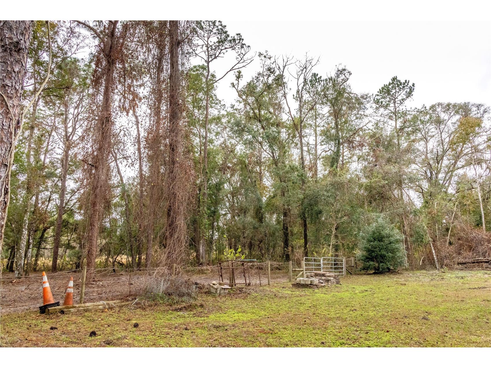 24091 Richbarn Road Brooksville FL 34601 W7885802 image14