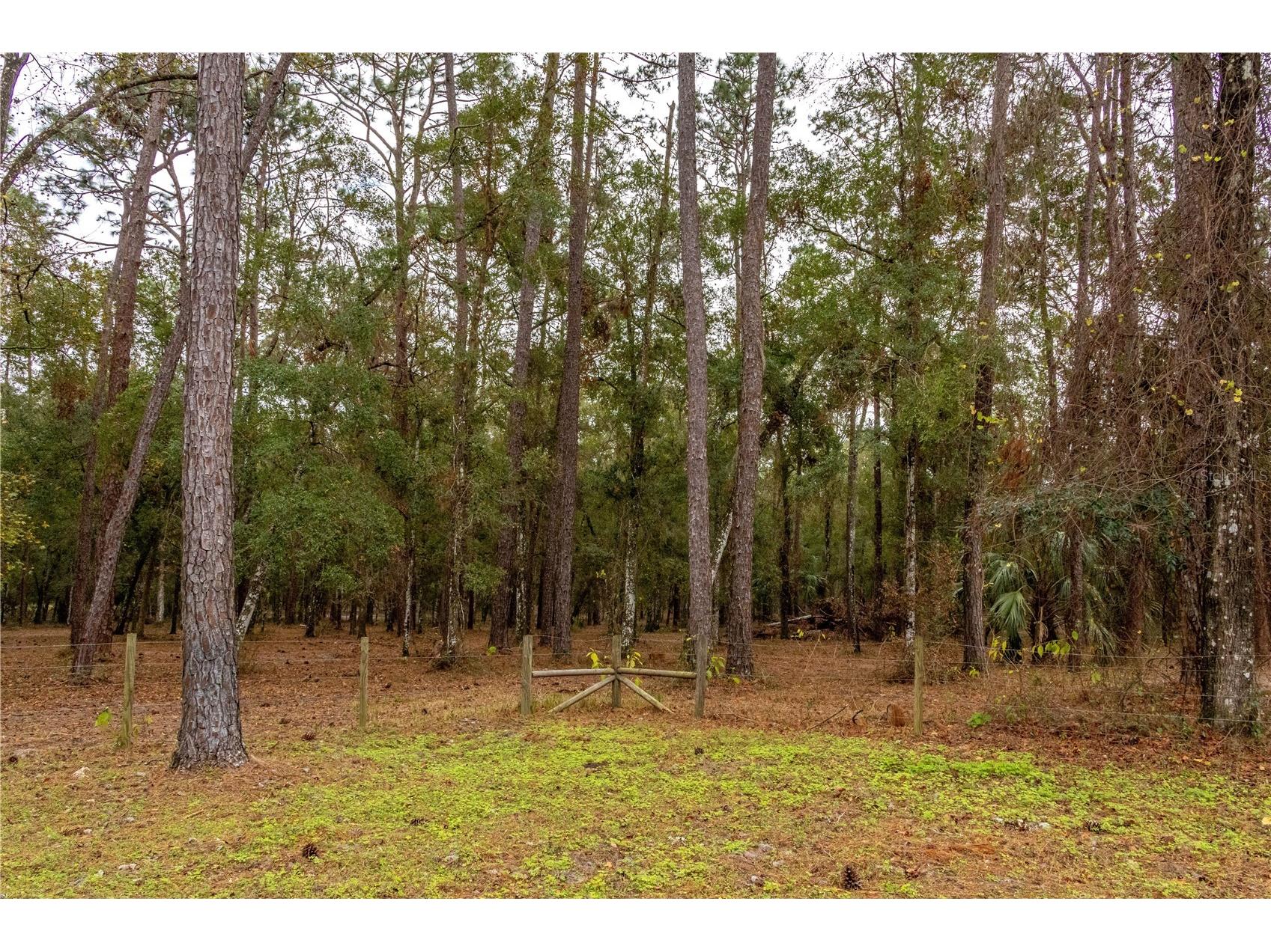 24091 Richbarn Road Brooksville FL 34601 W7885802 image15