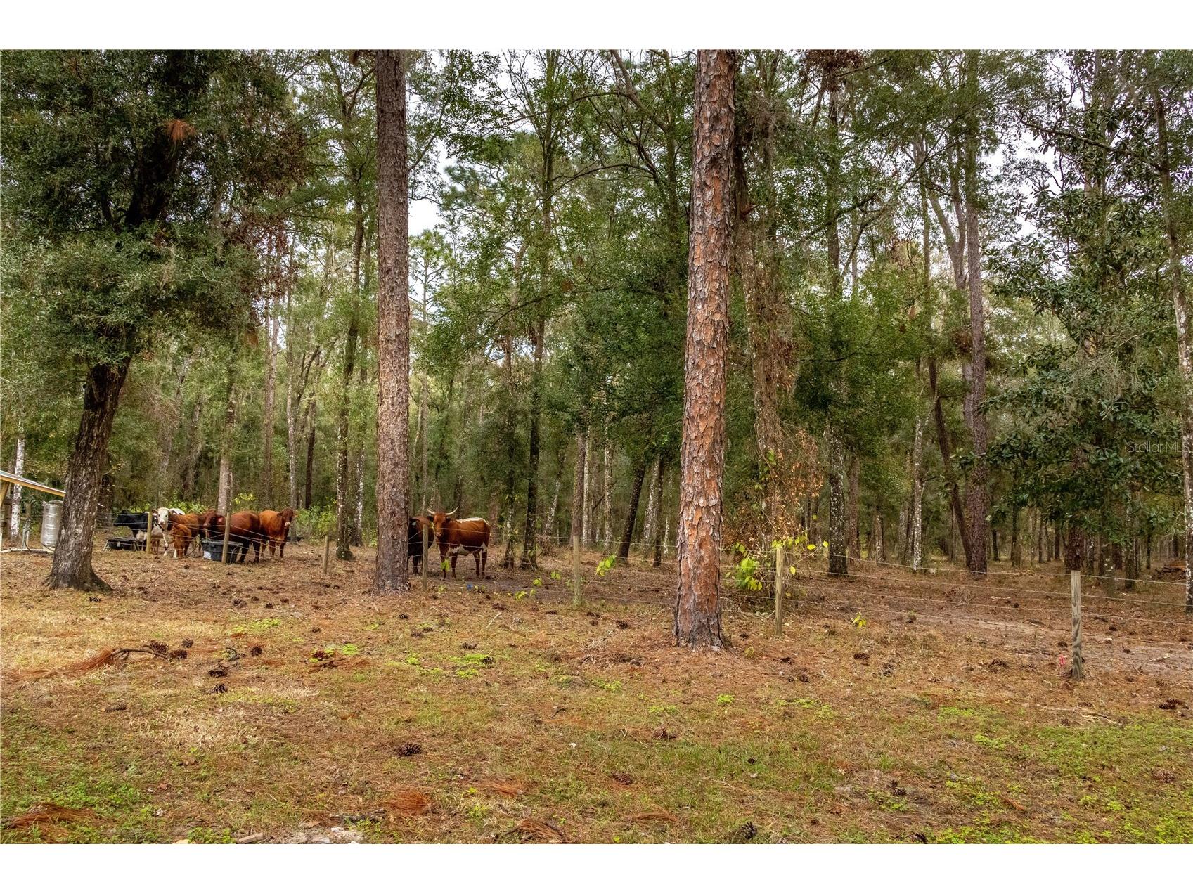 24091 Richbarn Road Brooksville FL 34601 W7885802 image16