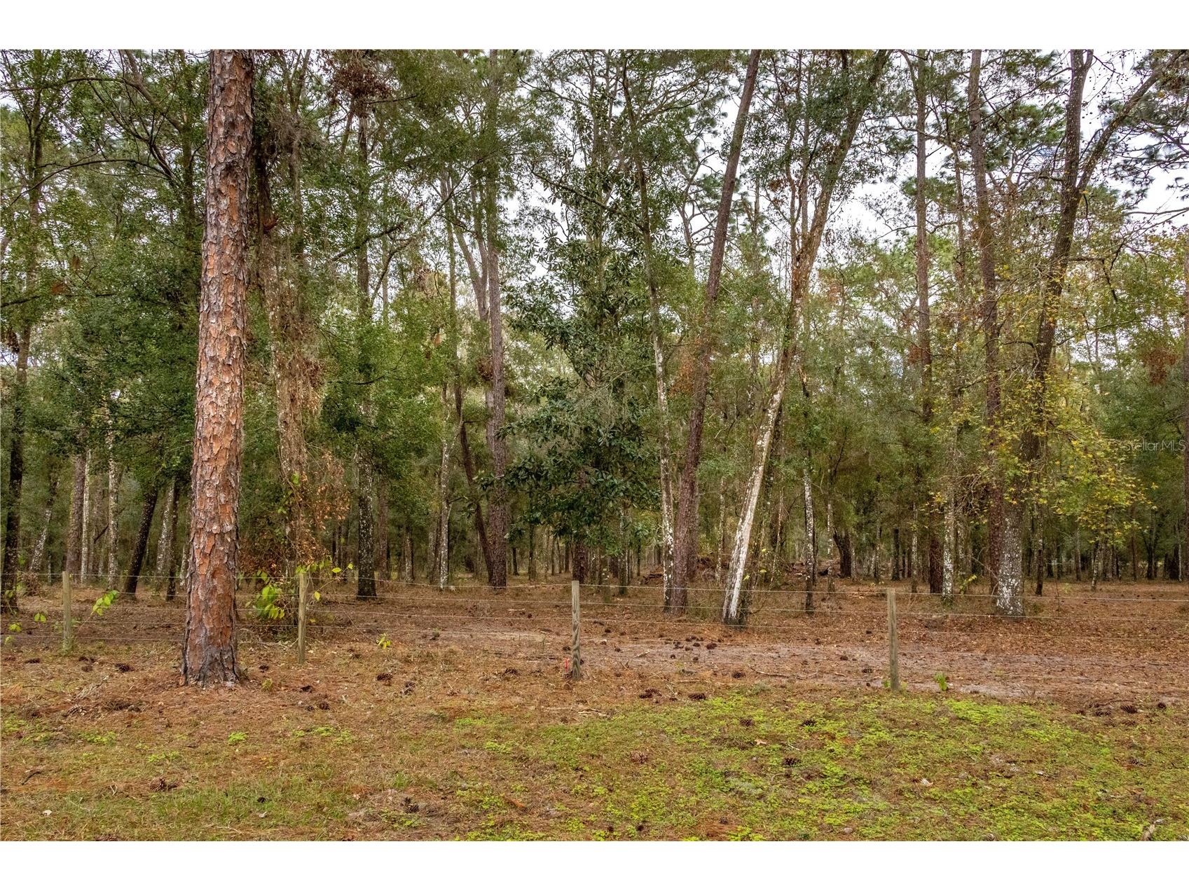 24091 Richbarn Road Brooksville FL 34601 W7885802 image17
