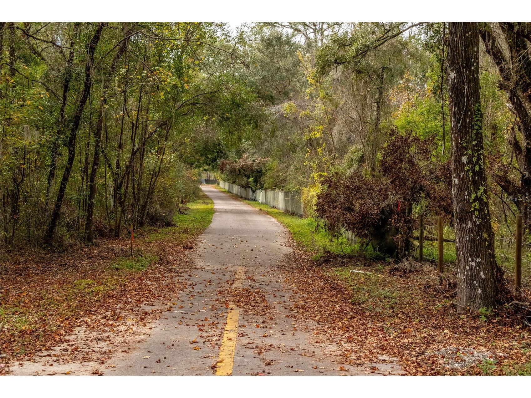 24091 Richbarn Road Brooksville FL 34601 W7885802 image26