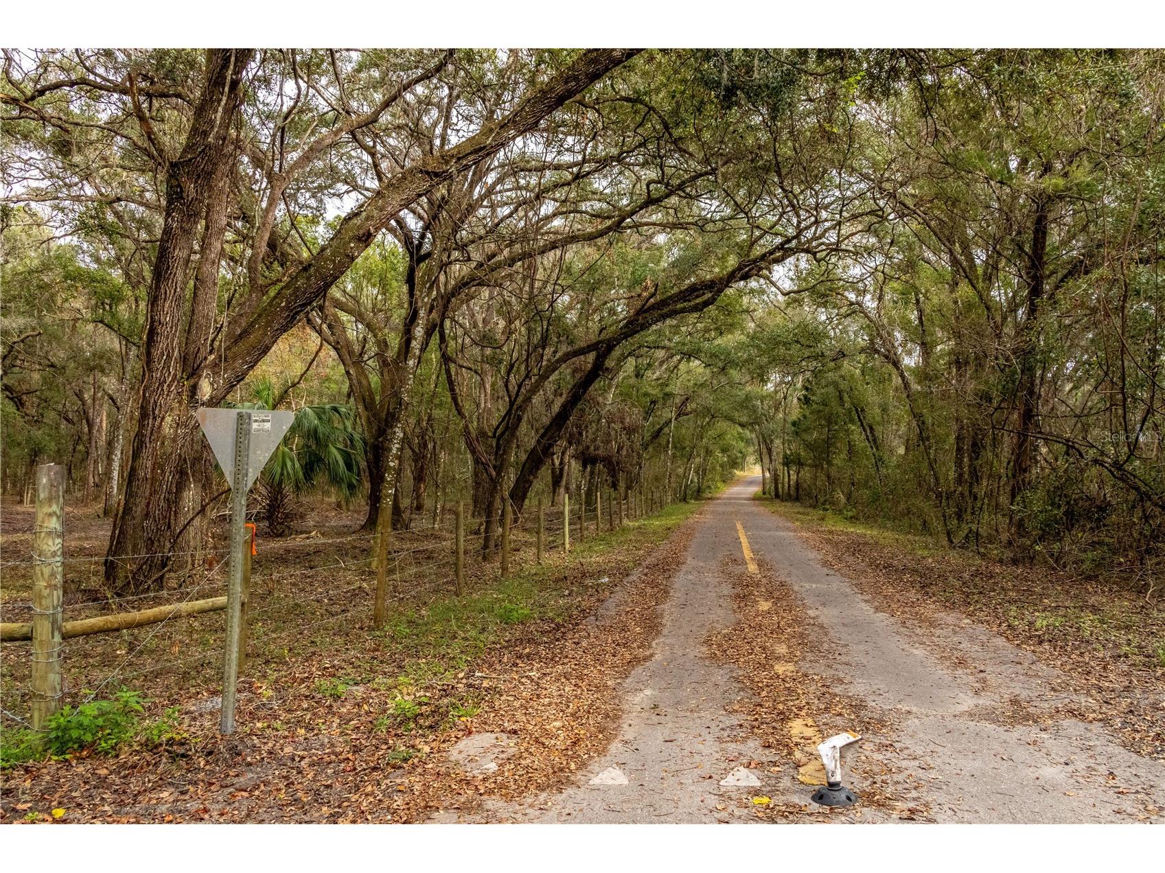 24091 Richbarn Road Brooksville FL 34601 W7885802 image27