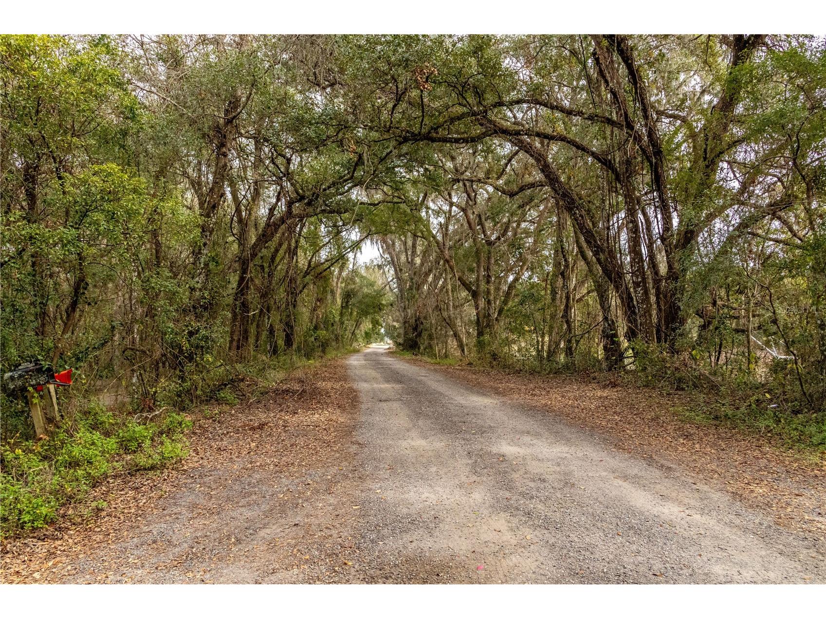 24091 Richbarn Road Brooksville FL 34601 W7885802 image28