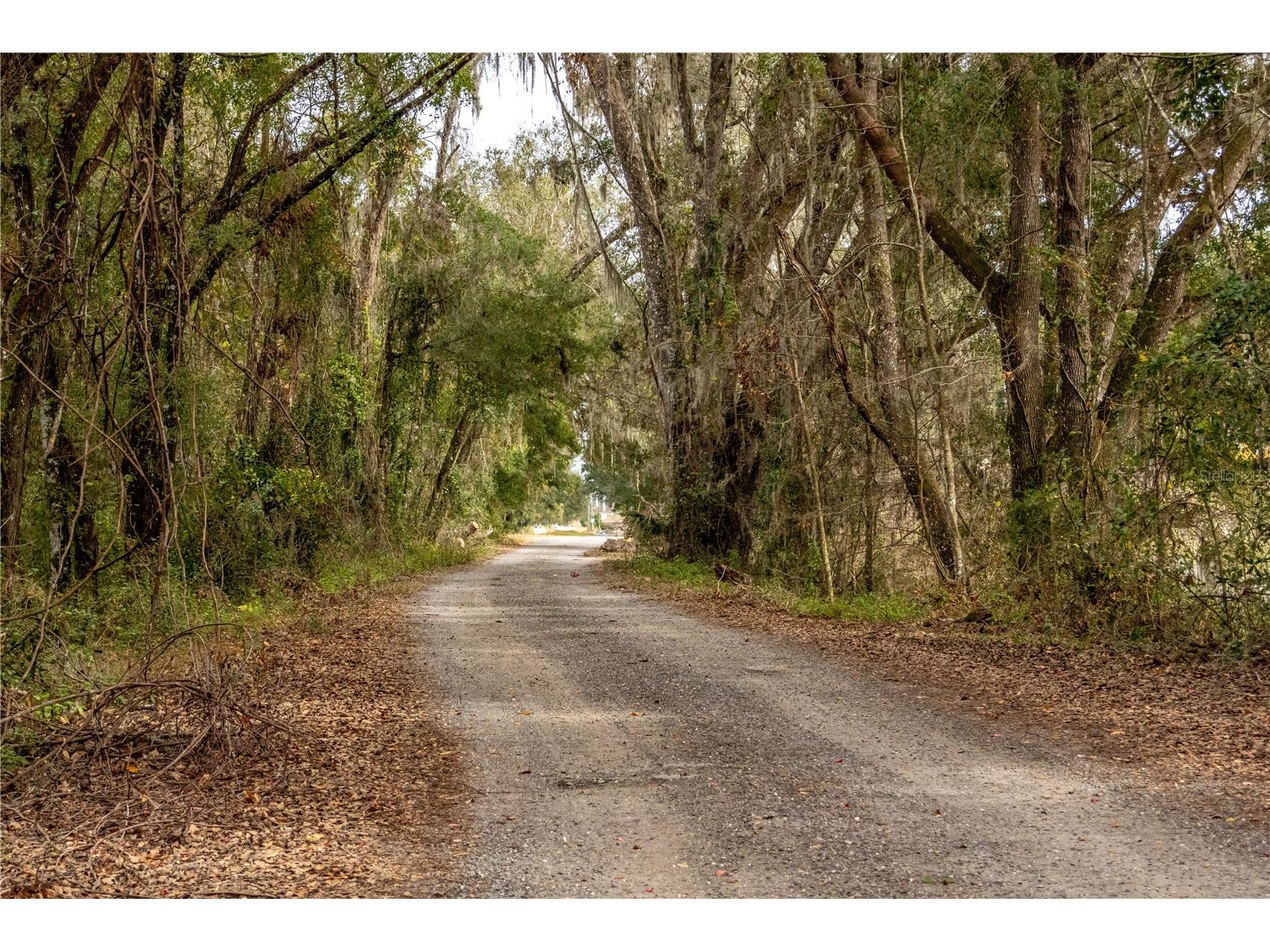 24091 Richbarn Road Brooksville FL 34601 W7885802 image29