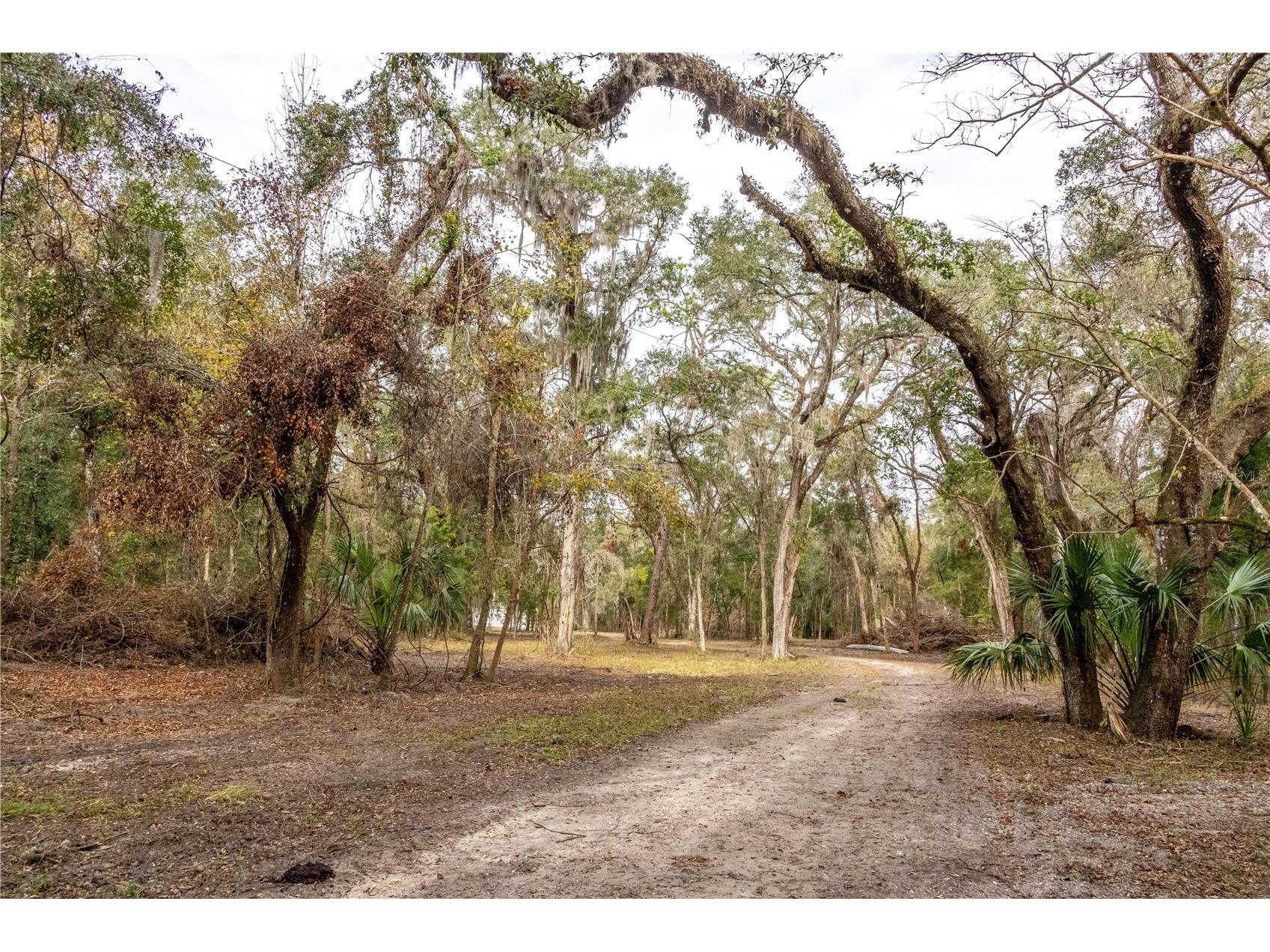 24091 Richbarn Road Brooksville FL 34601 W7885802 image33
