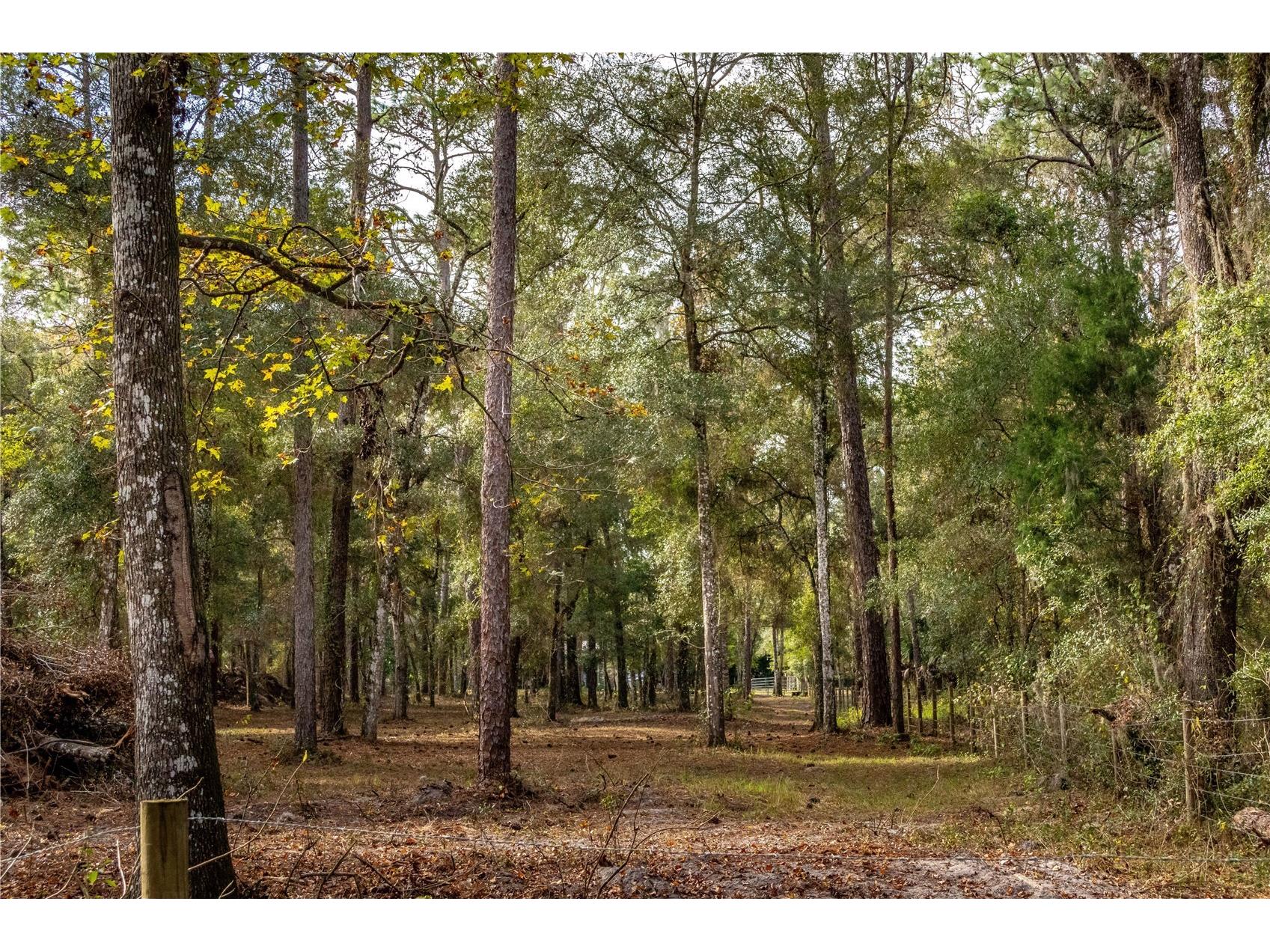 24091 Richbarn Road Brooksville FL 34601 W7885802 image34