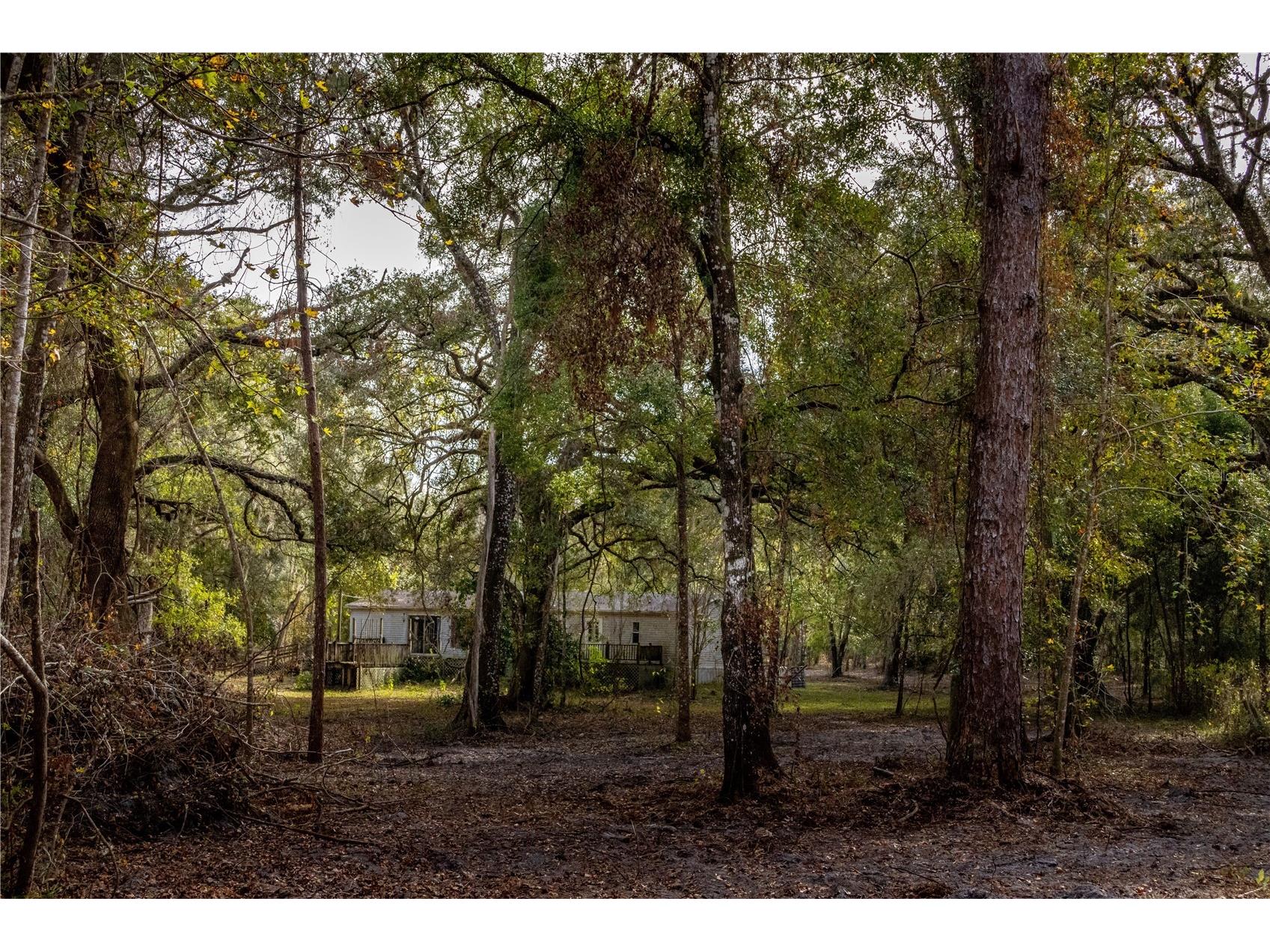 24091 Richbarn Road Brooksville FL 34601 W7885802 image35