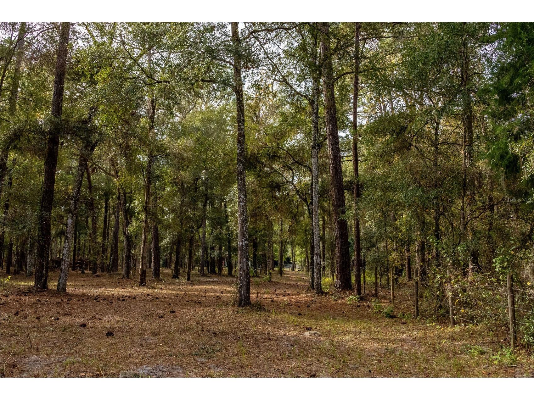 24091 Richbarn Road Brooksville FL 34601 W7885802 image36