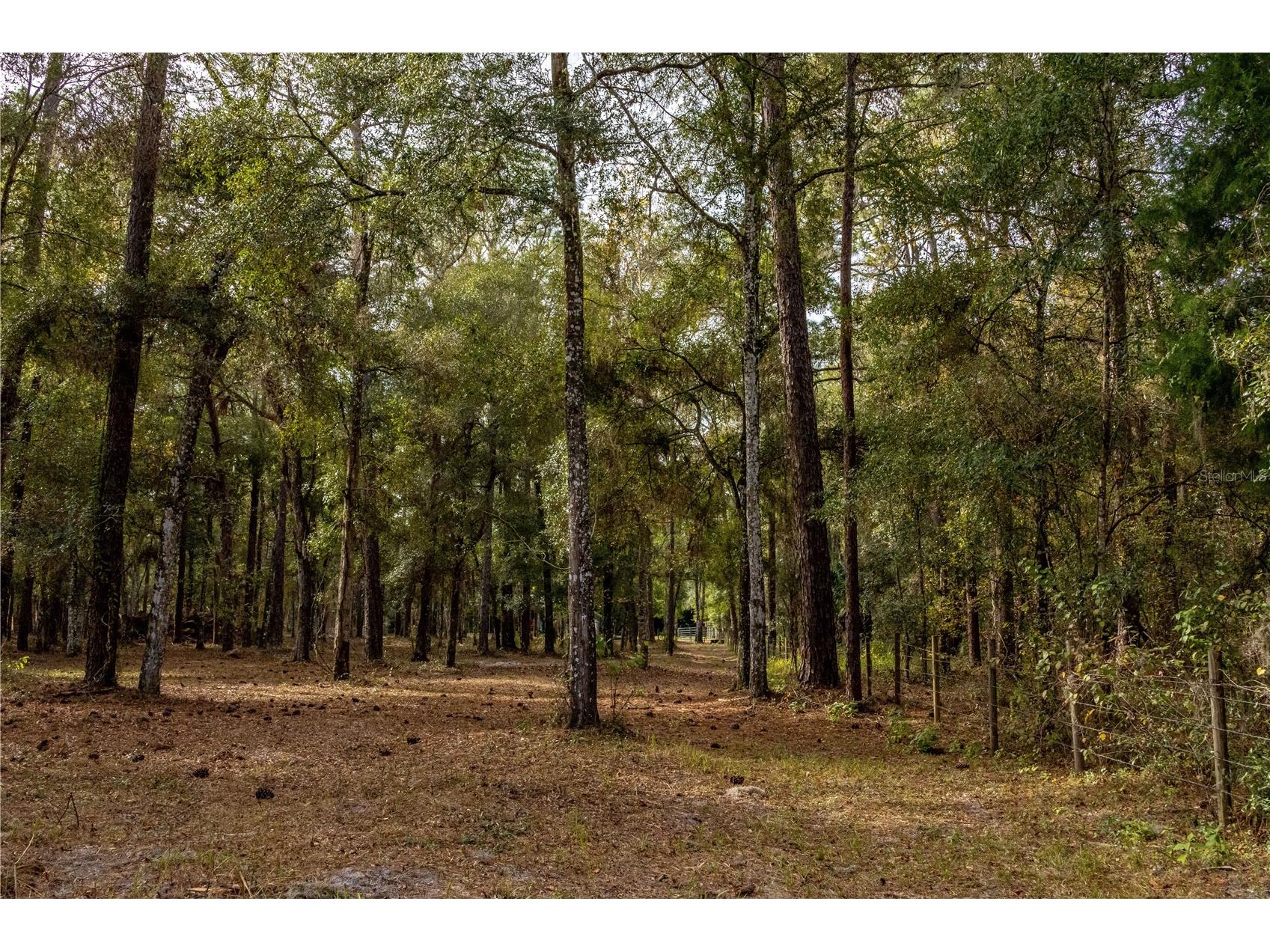 24091 Richbarn Road Brooksville FL 34601 W7885802 image37