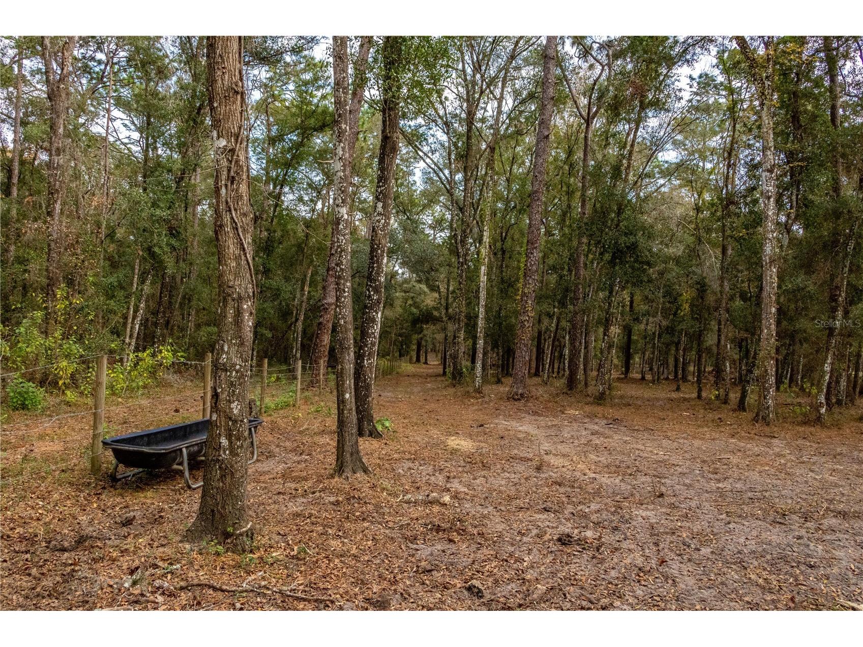 24091 Richbarn Road Brooksville FL 34601 W7885802 image38