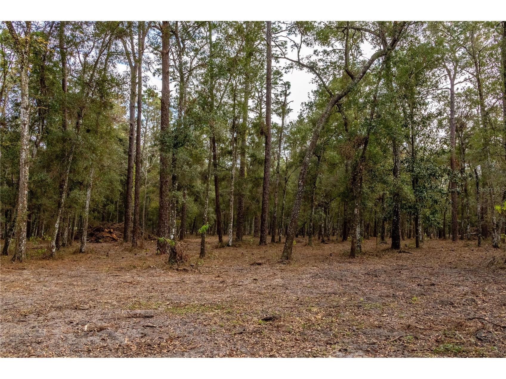 24091 Richbarn Road Brooksville FL 34601 W7885802 image39
