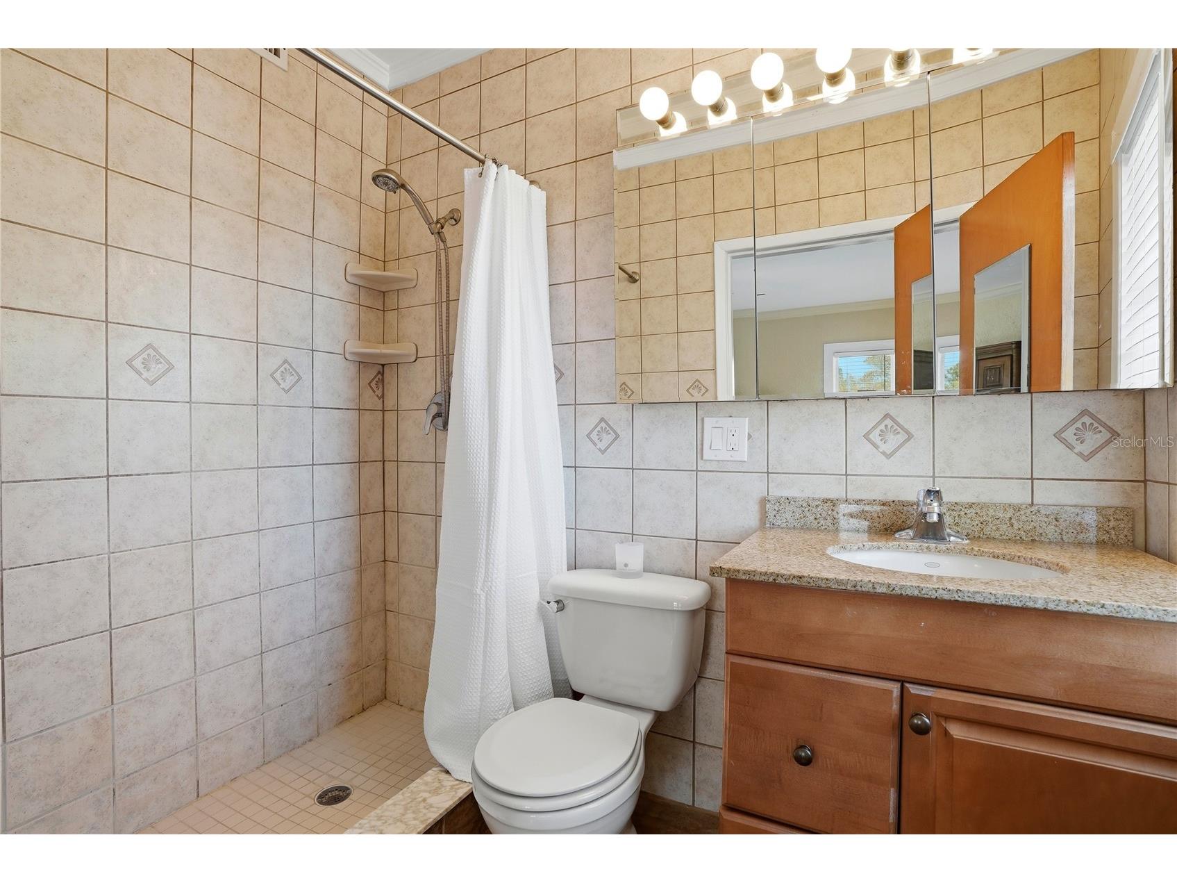 241 72nd Street N Saint Petersburg FL 33710 TB8488722 image26