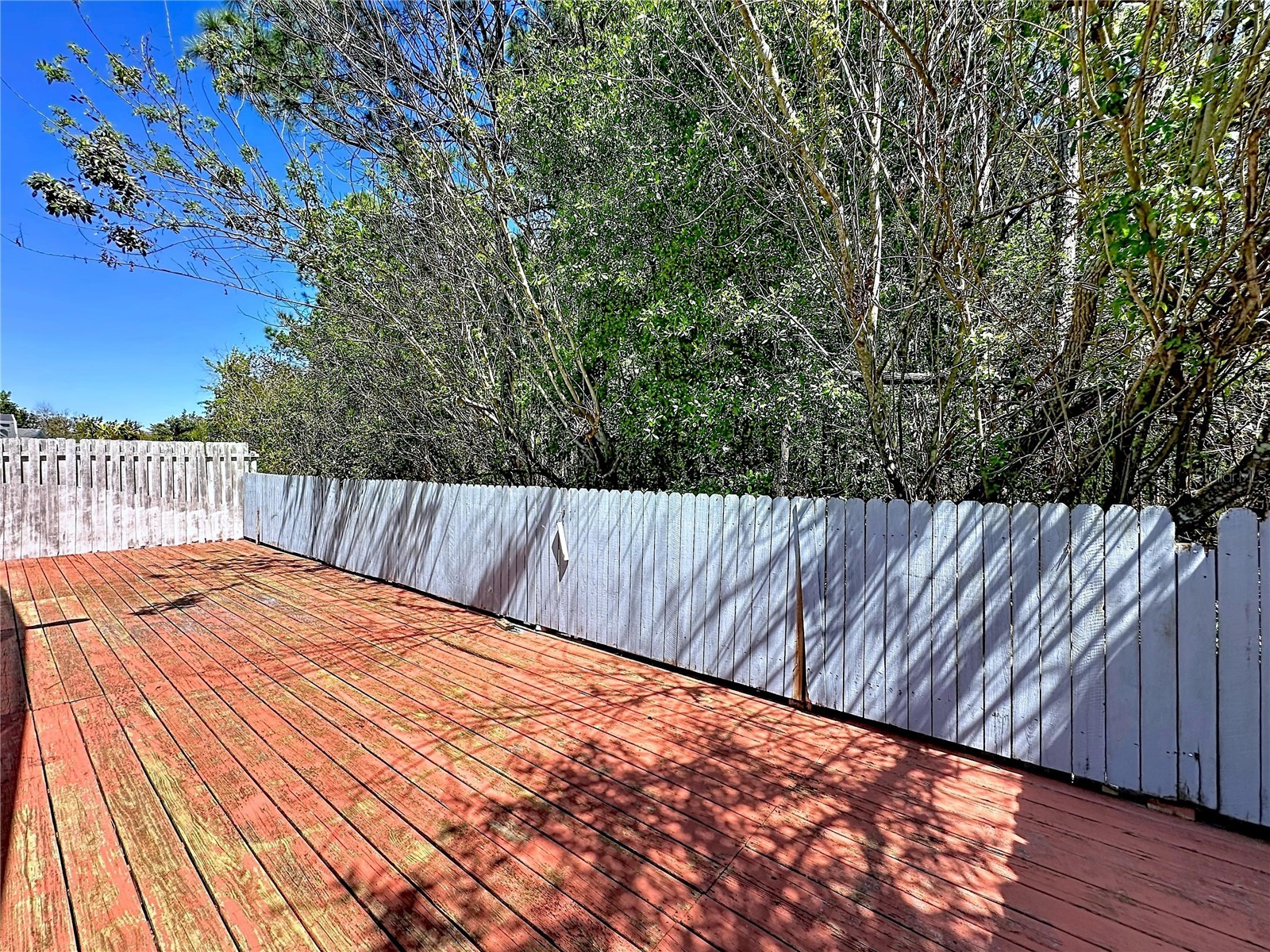 241 Coralwood Court Kissimmee FL 34743 O6394360 image7