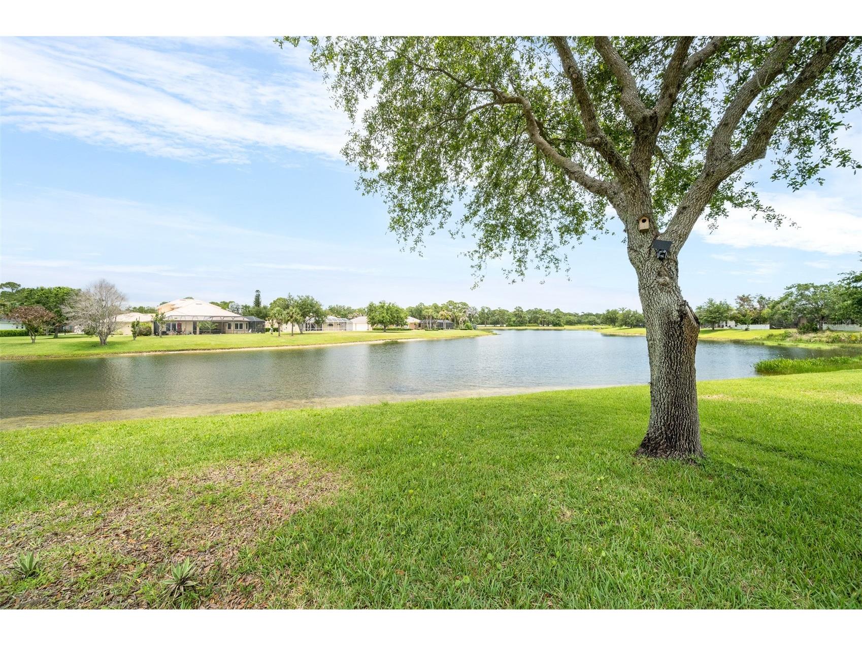 241 Devlin Court Palm Bay FL 32909 O6410683 image46