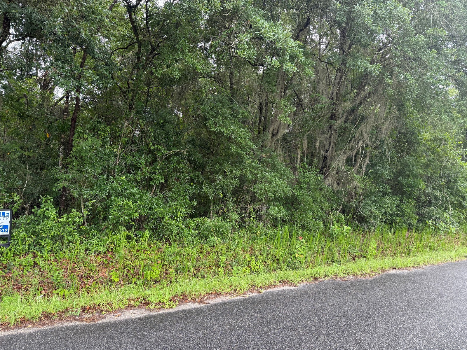 241 Dog Branch Road East Palatka FL 32131 NS1088366 image1