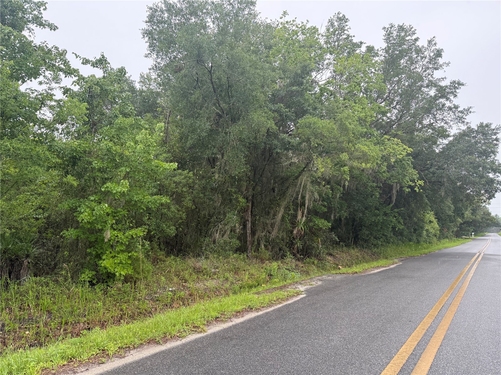 241 Dog Branch Road East Palatka FL 32131 NS1088366 image2