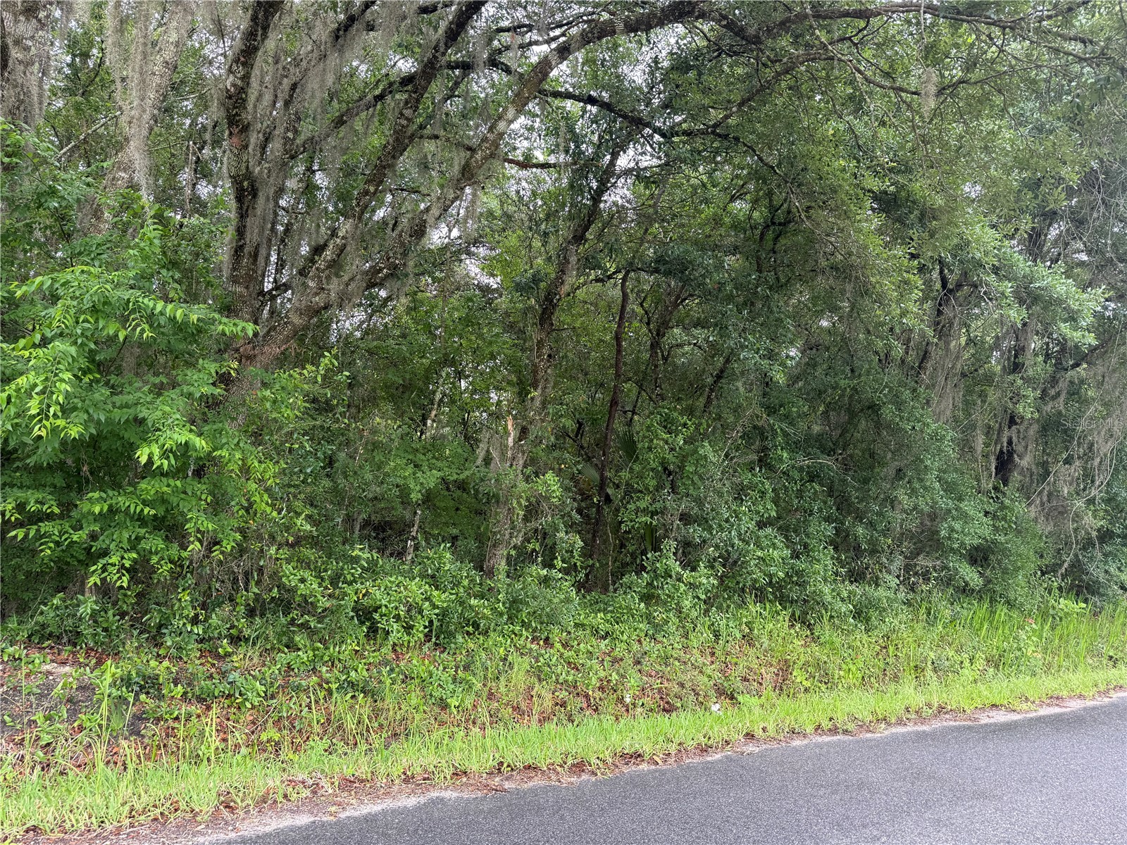 241 Dog Branch Road East Palatka FL 32131 NS1088366 image3