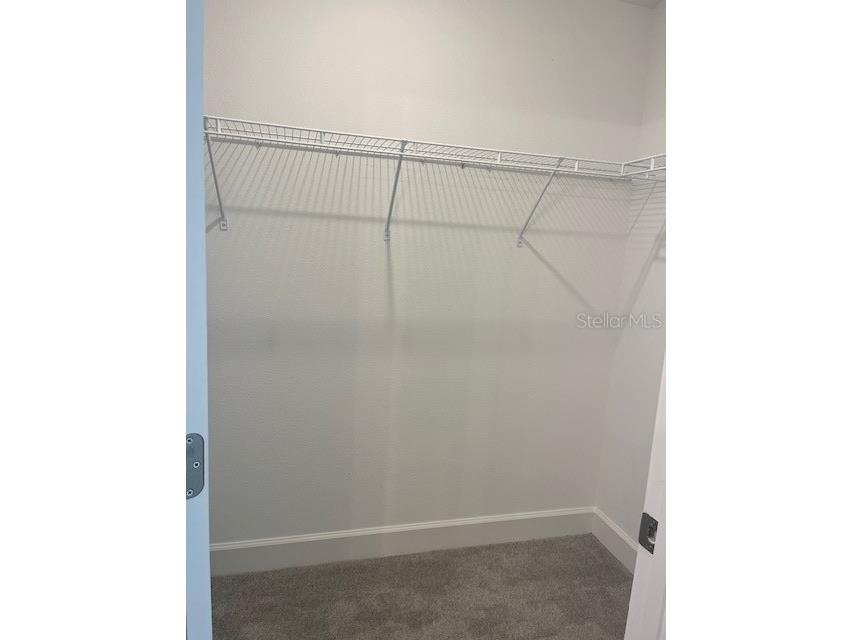 241 Grifford Drive Kissimmee FL 34758 S5139209 image22