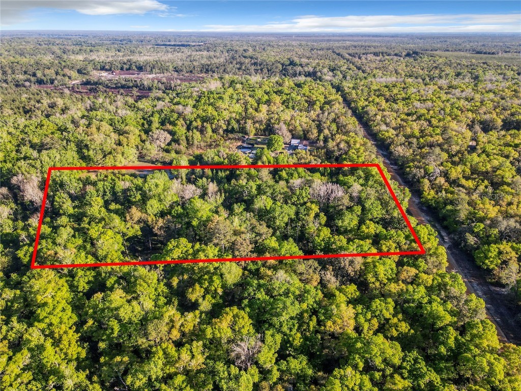 241 Indian Lakes Forest Road Florahome FL 32140 GC520030 image1