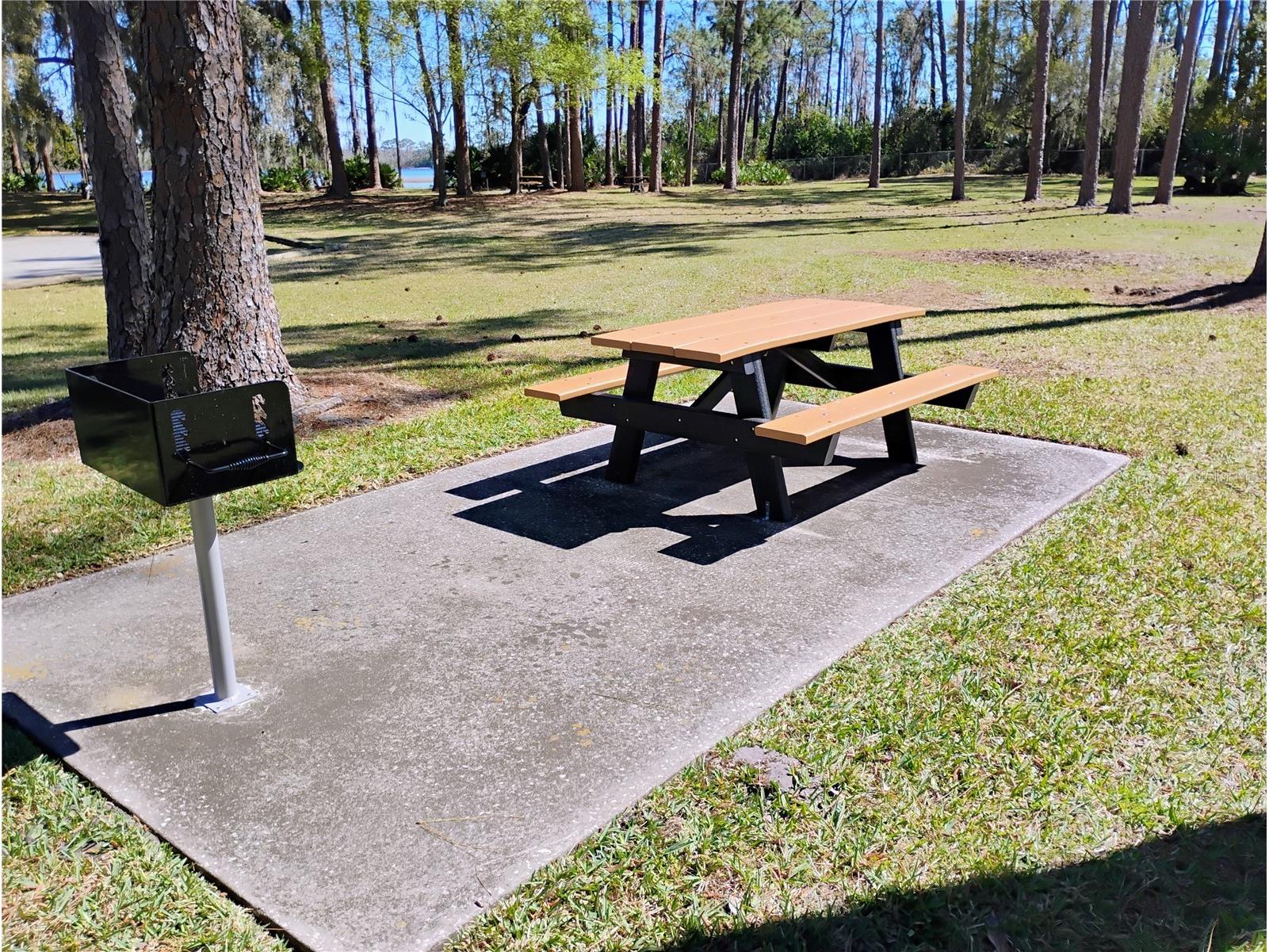 241 Lake Trout Davenport FL 33897 - LAKE DAVENPORT S5144577 image10