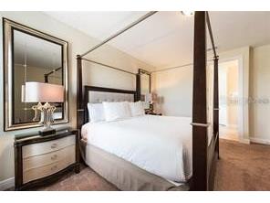 241 Lasso Drive Kissimmee FL 34747 - 08.01 O6400416 image23