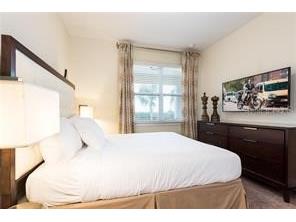 241 Lasso Drive Kissimmee FL 34747 - 08.01 O6400416 image28