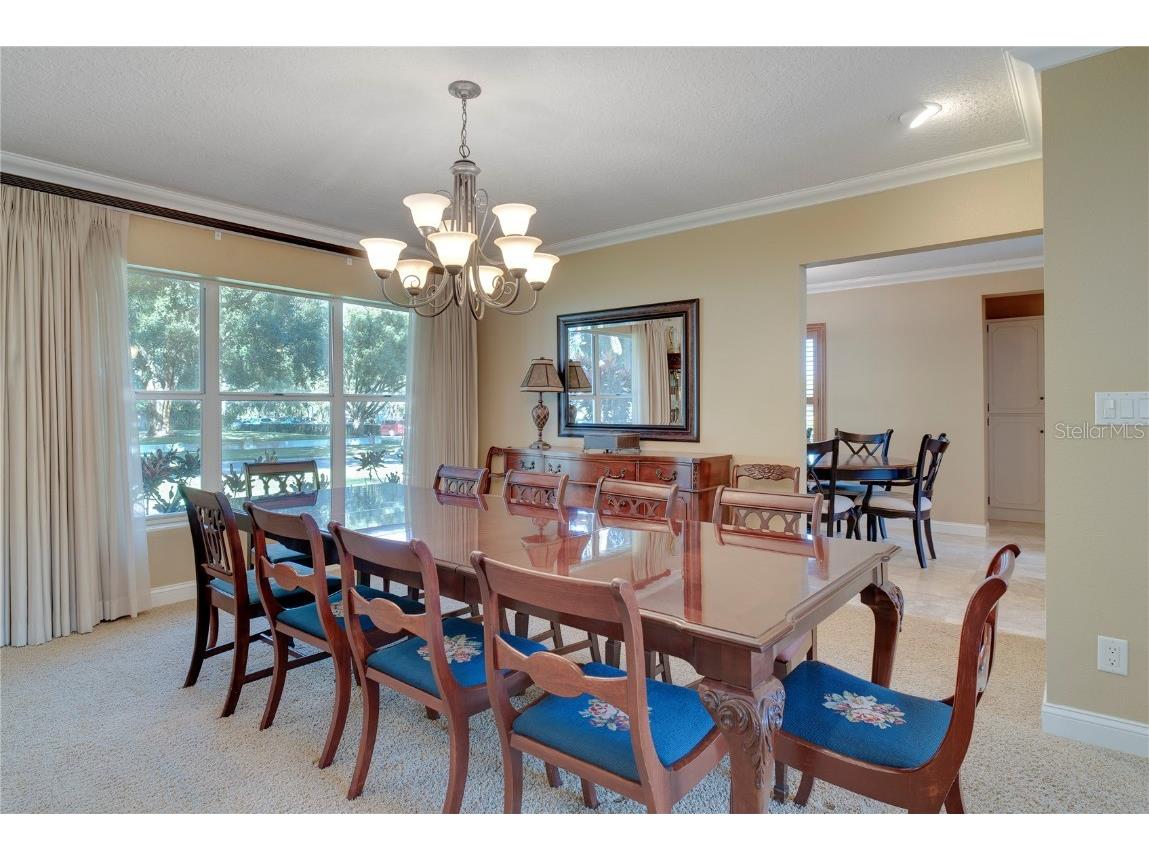 241 N Dillard Street Winter Garden FL 34787 O6353975 image11