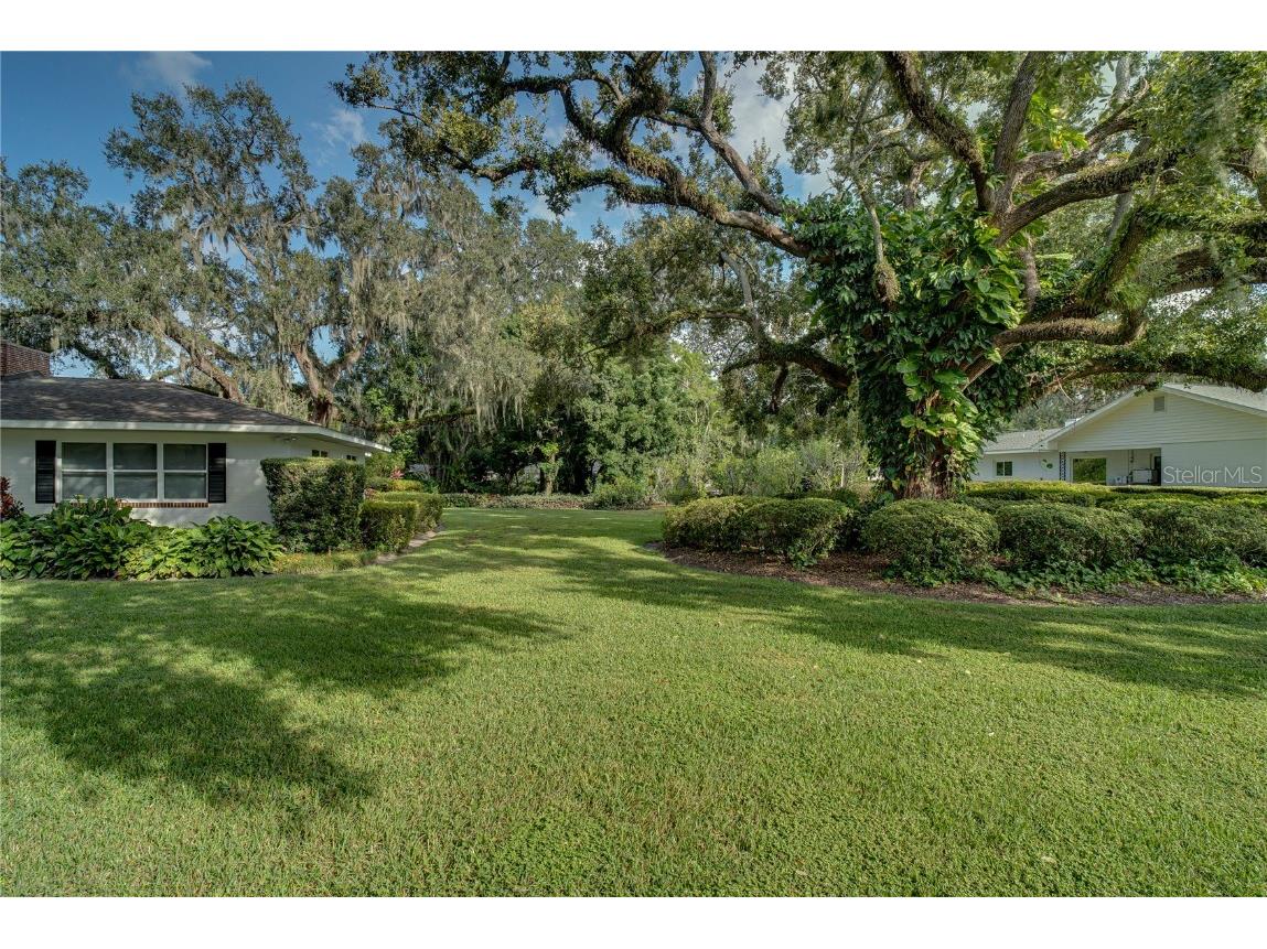 241 N Dillard Street Winter Garden FL 34787 O6353975 image3