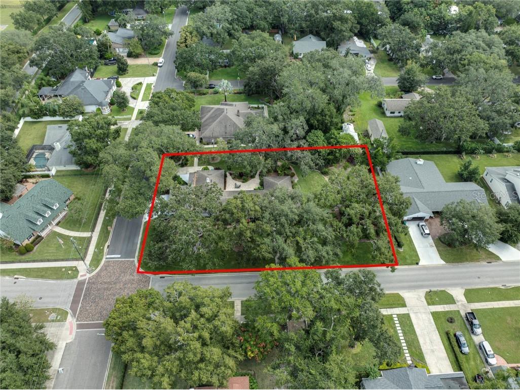 241 N Dillard Street Winter Garden FL 34787 O6353975 image4