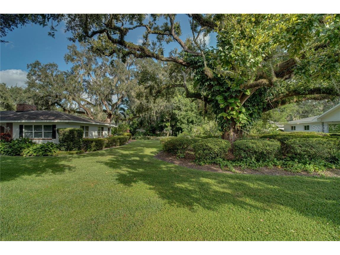 241 N Dillard Street Winter Garden FL 34787 O6353975 image44